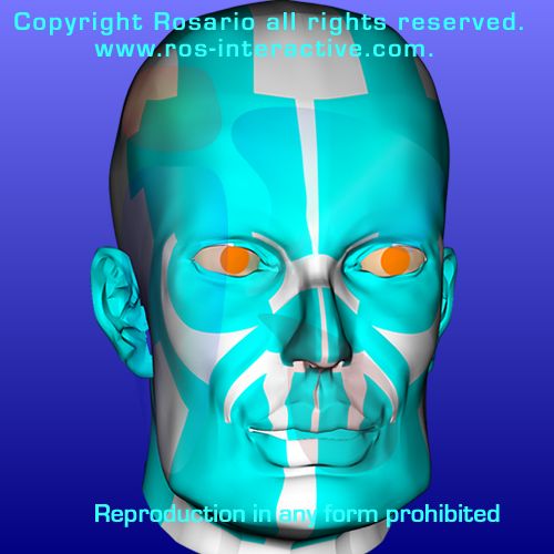 Char - 3D Mesh - Male Face #352